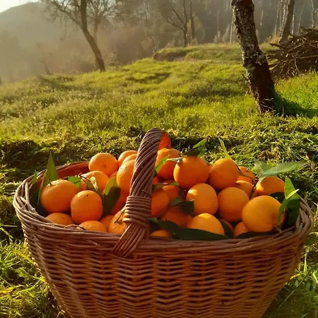 A Casa Com 2 Pereiras Terras de Bouro
