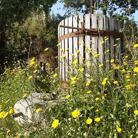 A Casa Com 2 Pereiras Bed and Breakfast 4*