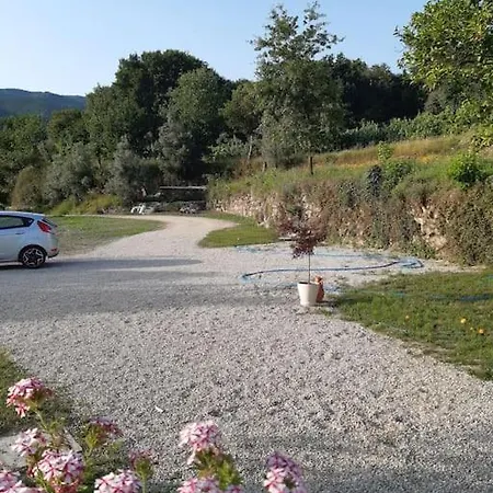 A Casa Com 2 Pereiras