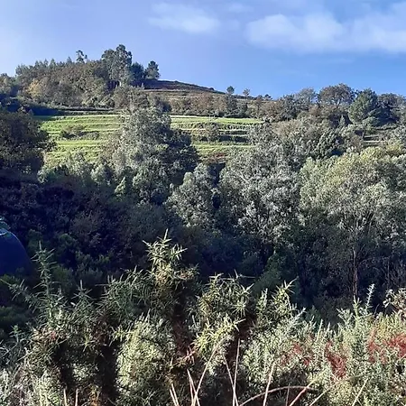 Bed and Breakfast A Casa Com 2 Pereiras