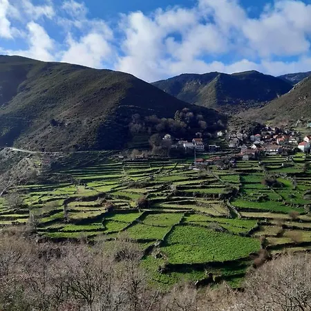 A Casa Com 2 Pereiras