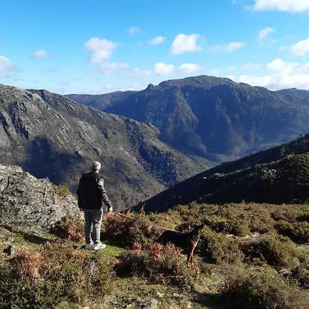 Bed and Breakfast A Casa Com 2 Pereiras