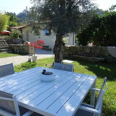 A Casa Com 2 Pereiras