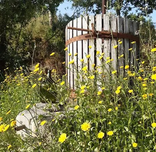 A Casa Com 2 Pereiras B&B 4*