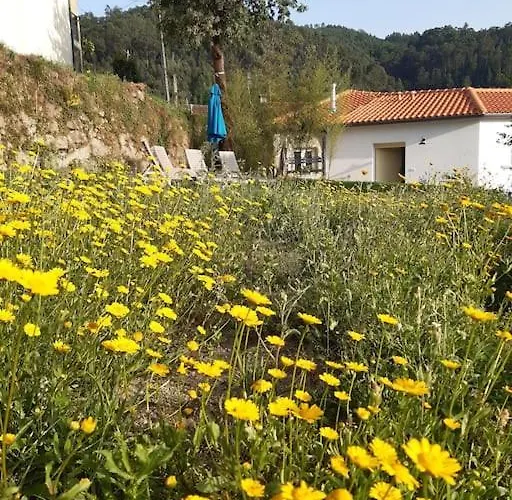 B&B A Casa Com 2 Pereiras 테라스 드 부로