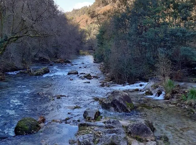 A Casa Com 2 Pereiras 테라스 드 부로