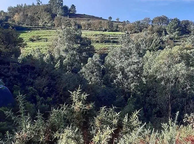 B&B A Casa Com 2 Pereiras