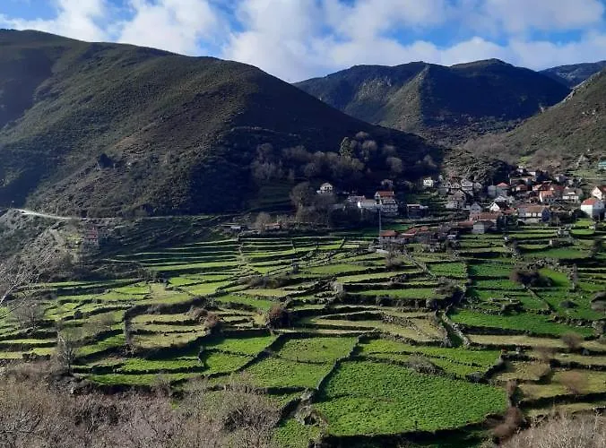 A Casa Com 2 Pereiras