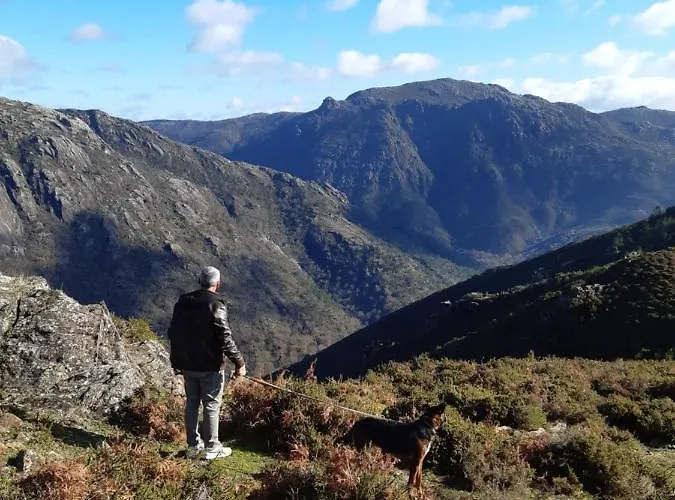 B&B A Casa Com 2 Pereiras