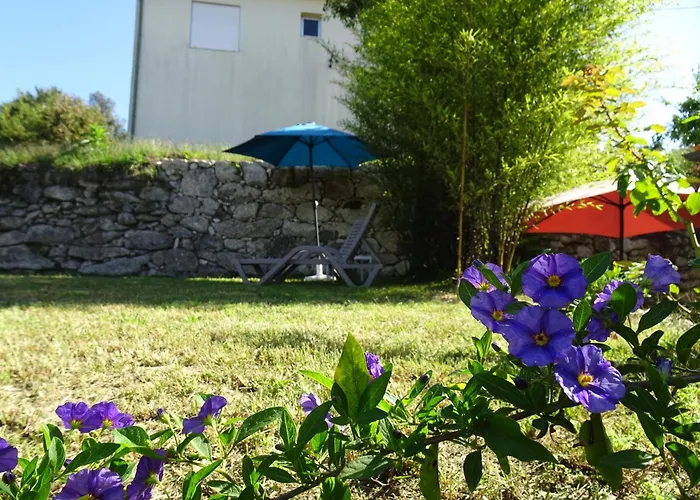 A Casa Com 2 Pereiras 테라스 드 부로